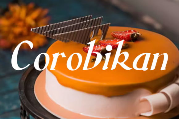 Corobikan: A Handwritten Font for Modern Web Design