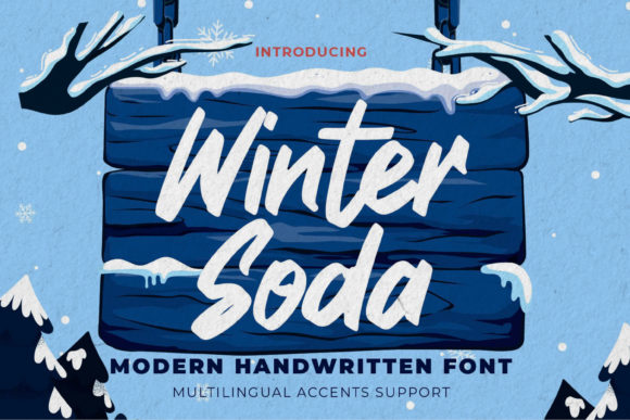 Winter Soda: A Designer’s Review for Real Projects